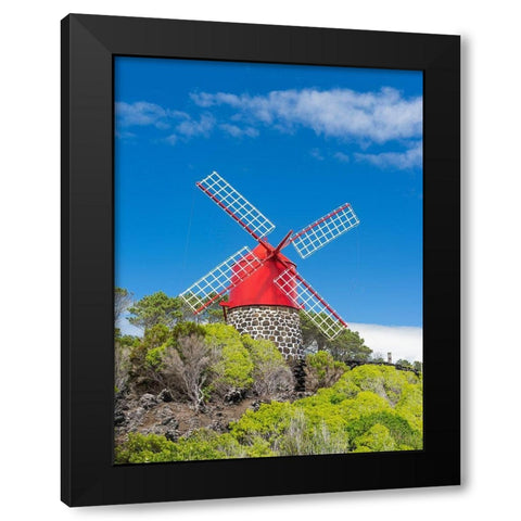 Traditional windmill near Sao Joao Pico Island-an island in the Azores in the Atlantic Ocean  Black Modern Wood Framed Art Print with Double Matting by Zwick, Martin