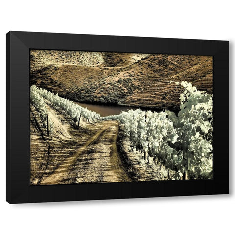 Portugal-Douro Valley-Backcountry road through the vineyards Black Modern Wood Framed Art Print by Eggers, Terry