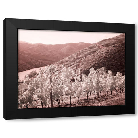 Portugal-Douro Valley-Vineyards draping the hills Black Modern Wood Framed Art Print by Eggers, Terry