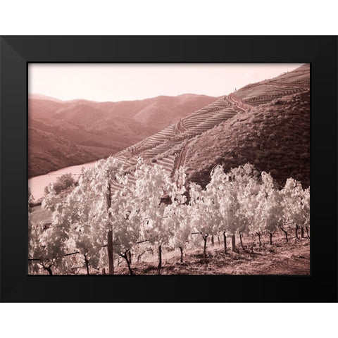 Portugal-Douro Valley-Vineyards draping the hills Black Modern Wood Framed Art Print by Eggers, Terry