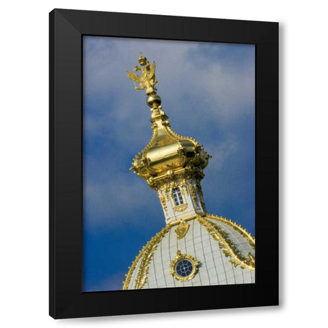 Russia, St Petersburg Peterhof palace interior Black Modern Wood Framed Art Print with Double Matting by Ross, Nancy ,  Steve