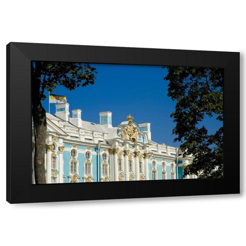 Russia, Pushkin Portion of Catherine Palace Black Modern Wood Framed Art Print by Ross, Nancy ,  Steve