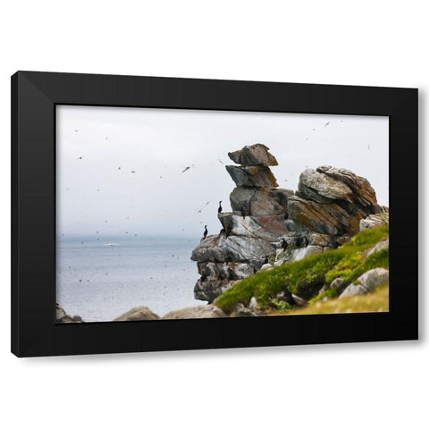 Cormorants and seagulls on rock pile-Kolyuchin Island-once an important Russian Polar Research Stat Black Modern Wood Framed Art Print by Su, Keren