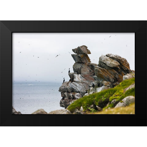 Cormorants and seagulls on rock pile-Kolyuchin Island-once an important Russian Polar Research Stat Black Modern Wood Framed Art Print by Su, Keren