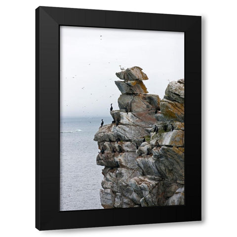 Cormorants and seagulls on rock pile-Kolyuchin Island-once an important Russian Polar Research Stat Black Modern Wood Framed Art Print by Su, Keren