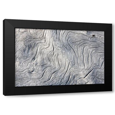 Drift wood pattern-Cape Onman-Chukchi Sea-Russia Far East Black Modern Wood Framed Art Print with Double Matting by Su, Keren
