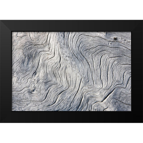 Drift wood pattern-Cape Onman-Chukchi Sea-Russia Far East Black Modern Wood Framed Art Print by Su, Keren