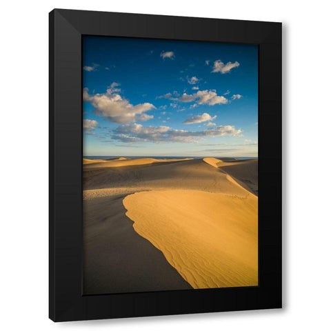 Spain-Canary Islands-Gran Canaria Island-Maspalomas-Maspalomas Dunes National Park Black Modern Wood Framed Art Print with Double Matting by Bibikow, Walter
