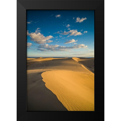 Spain-Canary Islands-Gran Canaria Island-Maspalomas-Maspalomas Dunes National Park Black Modern Wood Framed Art Print by Bibikow, Walter