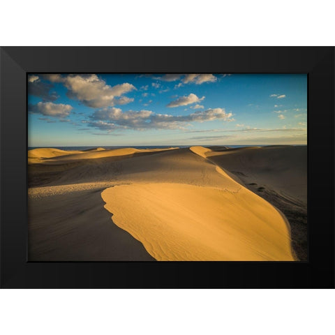 Spain-Canary Islands-Gran Canaria Island-Maspalomas-Maspalomas Dunes National Park Black Modern Wood Framed Art Print by Bibikow, Walter