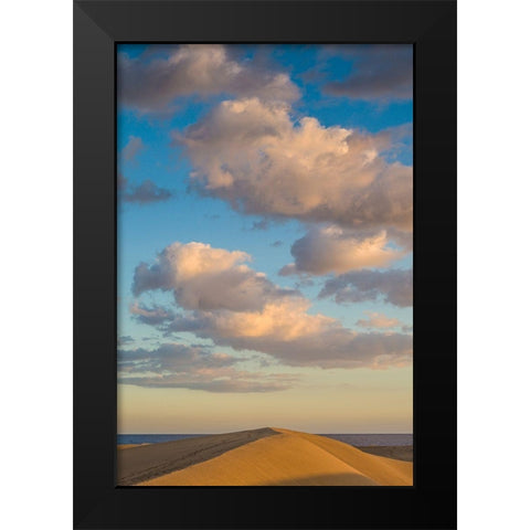 Spain-Canary Islands-Gran Canaria Island-Maspalomas-Maspalomas Dunes National Park Black Modern Wood Framed Art Print by Bibikow, Walter