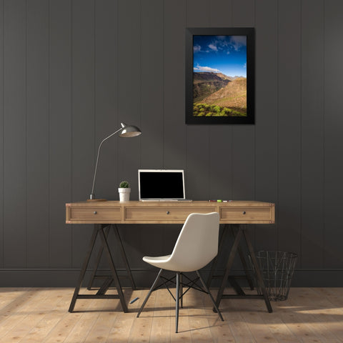 Spain-Canary Islands-Gran Canaria Island-Barranco-mountain view of the Barranco de Tirajana Black Modern Wood Framed Art Print by Bibikow, Walter