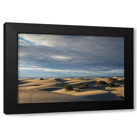 Spain-Canary Islands-Gran Canaria Island-Maspalomas-Maspalomas Dunes National Park Black Modern Wood Framed Art Print by Bibikow, Walter