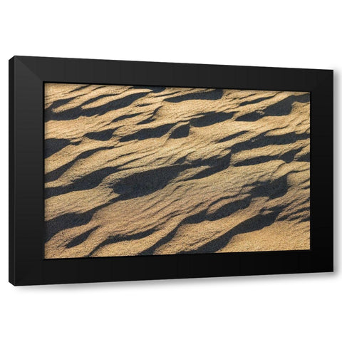Spain-Canary Islands-Gran Canaria Island-Maspalomas-Maspalomas Dunes National Park Black Modern Wood Framed Art Print by Bibikow, Walter