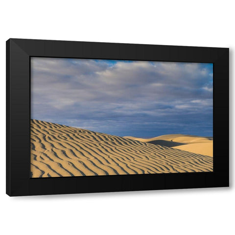 Spain-Canary Islands-Gran Canaria Island-Maspalomas-Maspalomas Dunes National Park Black Modern Wood Framed Art Print with Double Matting by Bibikow, Walter