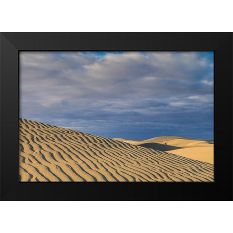 Spain-Canary Islands-Gran Canaria Island-Maspalomas-Maspalomas Dunes National Park Black Modern Wood Framed Art Print by Bibikow, Walter