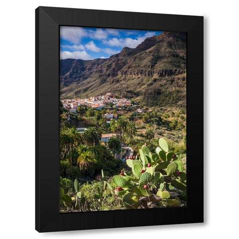 Spain-Canary Islands-Gran Canaria Island-Fataga-high angle village view Black Modern Wood Framed Art Print with Double Matting by Bibikow, Walter