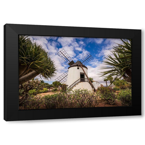 Canary Islands-Fuerteventura Island-Antigua-traditional island windmill Black Modern Wood Framed Art Print by Bibikow, Walter
