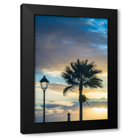 Canary Islands-Fuerteventura Island-Morro Jable-Playa del Matorral beach-palm tree-streetlight Black Modern Wood Framed Art Print with Double Matting by Bibikow, Walter