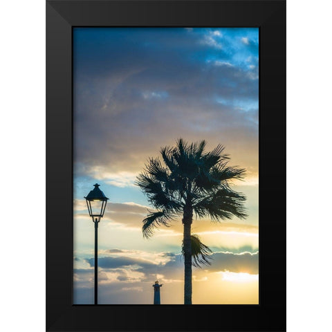 Canary Islands-Fuerteventura Island-Morro Jable-Playa del Matorral beach-palm tree-streetlight Black Modern Wood Framed Art Print by Bibikow, Walter