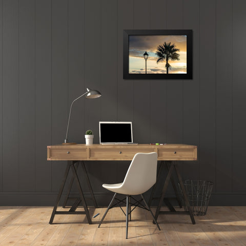 Canary Islands-Fuerteventura Island-Morro Jable-Playa del Matorral beach-palm tree Black Modern Wood Framed Art Print by Bibikow, Walter