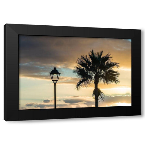 Canary Islands-Fuerteventura Island-Morro Jable-Playa del Matorral beach-palm tree Black Modern Wood Framed Art Print with Double Matting by Bibikow, Walter