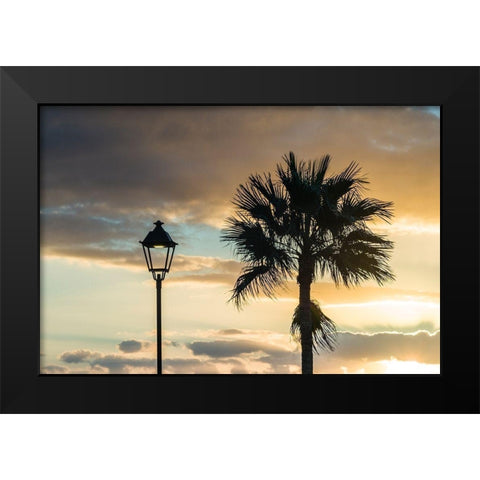 Canary Islands-Fuerteventura Island-Morro Jable-Playa del Matorral beach-palm tree Black Modern Wood Framed Art Print by Bibikow, Walter