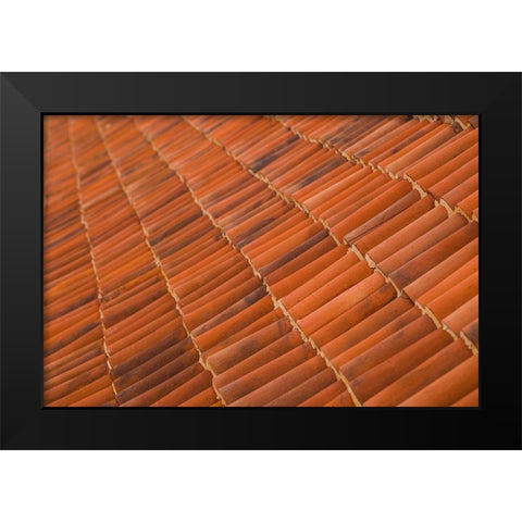 Canary Islands-Fuerteventura Island-La Oliva-Casa de los Coroneles-18th Black Modern Wood Framed Art Print by Bibikow, Walter