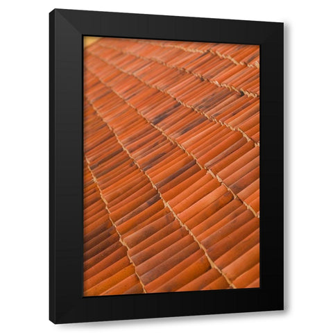 Canary Islands-Fuerteventura Island-La Oliva-Casa de los Coroneles-18th century Black Modern Wood Framed Art Print with Double Matting by Bibikow, Walter