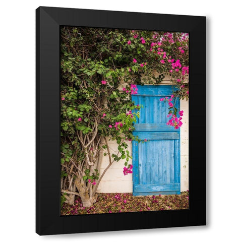 Canary Islands-Fuerteventura Island-La Oliva-blue door of garden shed Black Modern Wood Framed Art Print with Double Matting by Bibikow, Walter