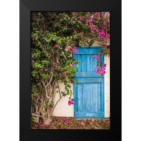 Canary Islands-Fuerteventura Island-La Oliva-blue door of garden shed Black Modern Wood Framed Art Print by Bibikow, Walter