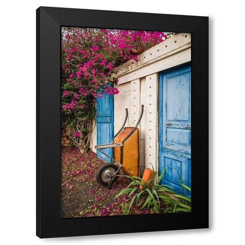 Canary Islands-Fuerteventura Island-La Oliva-blue door of garden shed Black Modern Wood Framed Art Print by Bibikow, Walter