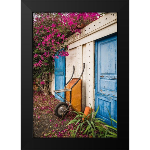 Canary Islands-Fuerteventura Island-La Oliva-blue door of garden shed Black Modern Wood Framed Art Print by Bibikow, Walter