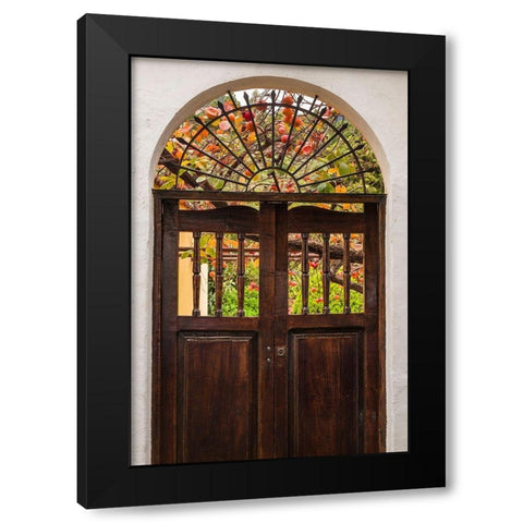 Canary Islands-La Palma Island-Santa Cruz de la Palma-persimmon fruit garden Black Modern Wood Framed Art Print with Double Matting by Bibikow, Walter