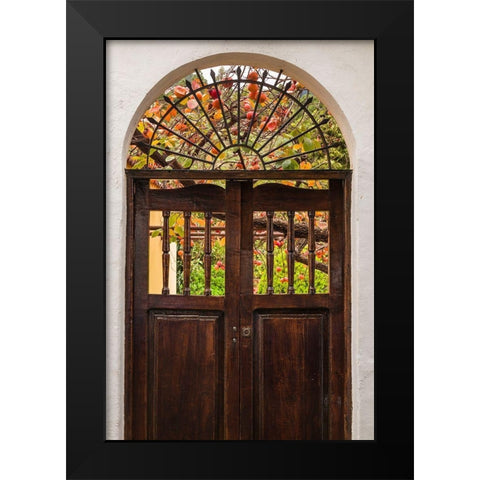 Canary Islands-La Palma Island-Santa Cruz de la Palma-persimmon fruit garden Black Modern Wood Framed Art Print by Bibikow, Walter