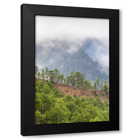 Canary Islands- Black Modern Wood Framed Art Print with Double Matting by Bibikow, Walter