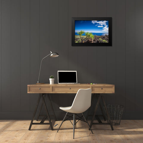 Canary Islands-La Palma Island-Fuencaliente de la Palma-Punta de Fuencaliente-volcanic landscape Black Modern Wood Framed Art Print by Bibikow, Walter