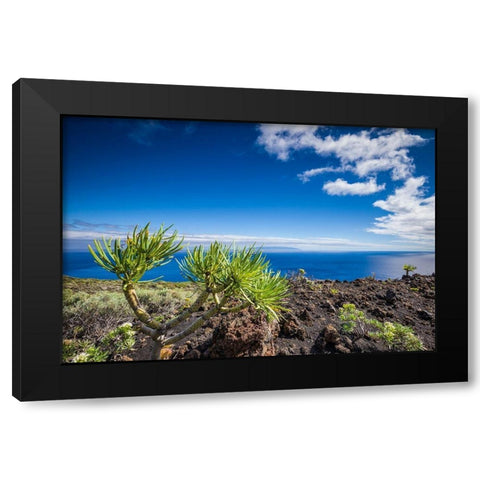 Canary Islands-La Palma Island-Fuencaliente de la Palma-Punta de Fuencaliente-volcanic landscape Black Modern Wood Framed Art Print with Double Matting by Bibikow, Walter