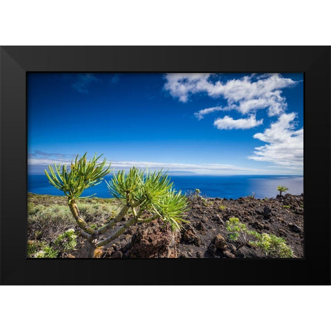 Canary Islands-La Palma Island-Fuencaliente de la Palma-Punta de Fuencaliente-volcanic landscape Black Modern Wood Framed Art Print by Bibikow, Walter
