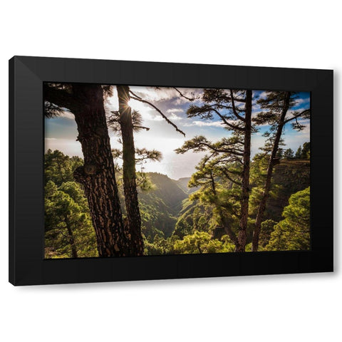 Canary Islands-La Palma Island-Mirador de Garome-elevated coastal view Black Modern Wood Framed Art Print by Bibikow, Walter