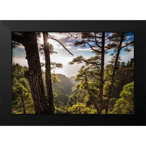 Canary Islands-La Palma Island-Mirador de Garome-elevated coastal view Black Modern Wood Framed Art Print by Bibikow, Walter