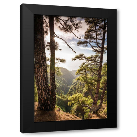 Canary Islands-La Palma Island-Mirador de Garome-elevated coastal view Black Modern Wood Framed Art Print with Double Matting by Bibikow, Walter