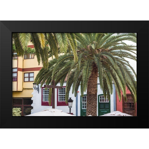Canary Islands-La Palma Island-Santa Cruz de la Palma-palm tree Black Modern Wood Framed Art Print by Bibikow, Walter