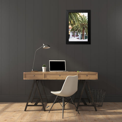 Canary Islands-La Palma Island-Santa Cruz de la Palma-palm tree Black Modern Wood Framed Art Print by Bibikow, Walter