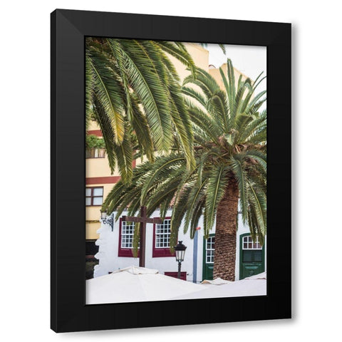 Canary Islands-La Palma Island-Santa Cruz de la Palma-palm tree Black Modern Wood Framed Art Print by Bibikow, Walter