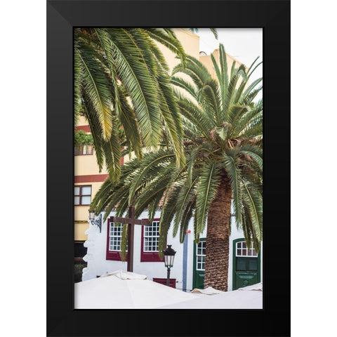 Canary Islands-La Palma Island-Santa Cruz de la Palma-palm tree Black Modern Wood Framed Art Print by Bibikow, Walter