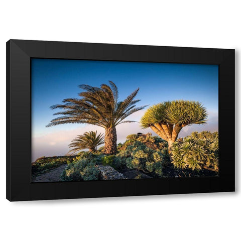 Canary Islands-El Hierro Island-Guarazoca-Mirador de la Pena Black Modern Wood Framed Art Print by Bibikow, Walter