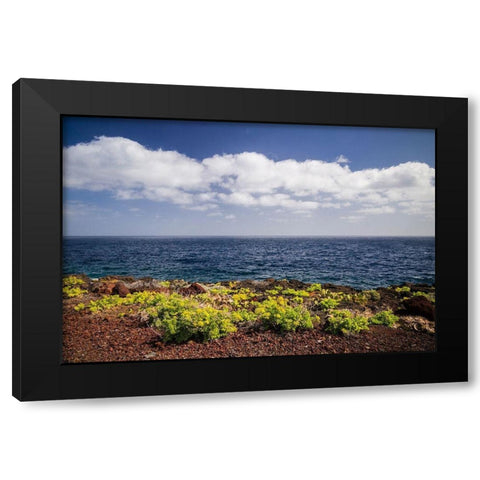 Canary Islands-El Hierro Island-east coast-Caleta-coastal view Black Modern Wood Framed Art Print with Double Matting by Bibikow, Walter