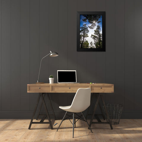 Canary Islands-El Hierro Island-Mirador de las Playas-elevated view of the east coast with fog Black Modern Wood Framed Art Print by Bibikow, Walter