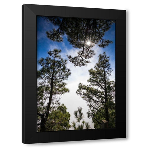 Canary Islands-El Hierro Island-Mirador de las Playas-elevated view of the east coast with fog Black Modern Wood Framed Art Print with Double Matting by Bibikow, Walter